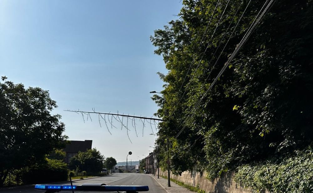 Arbore căzut peste firele de curent, în Dej| Foto: ISU Cluj