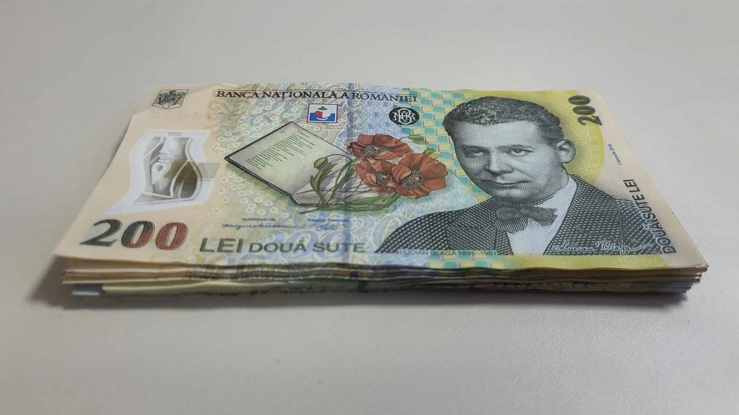Peste 19 milioane de lei, subvenții virate partidelor, în iunie |Foto: monitorulcj.ro