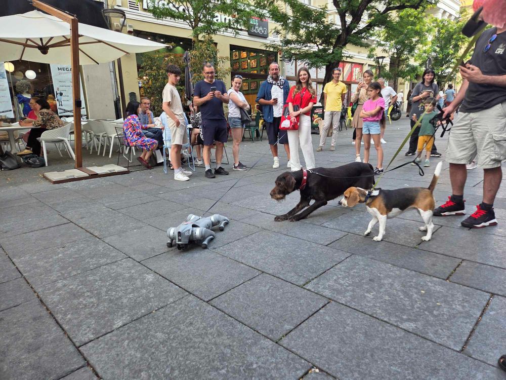 Întâlnirea dintre lumi la TIFF.24. Când natura „adulmecă” robotul | Foto: Eliza Lucaciu, monitorulcj.ro