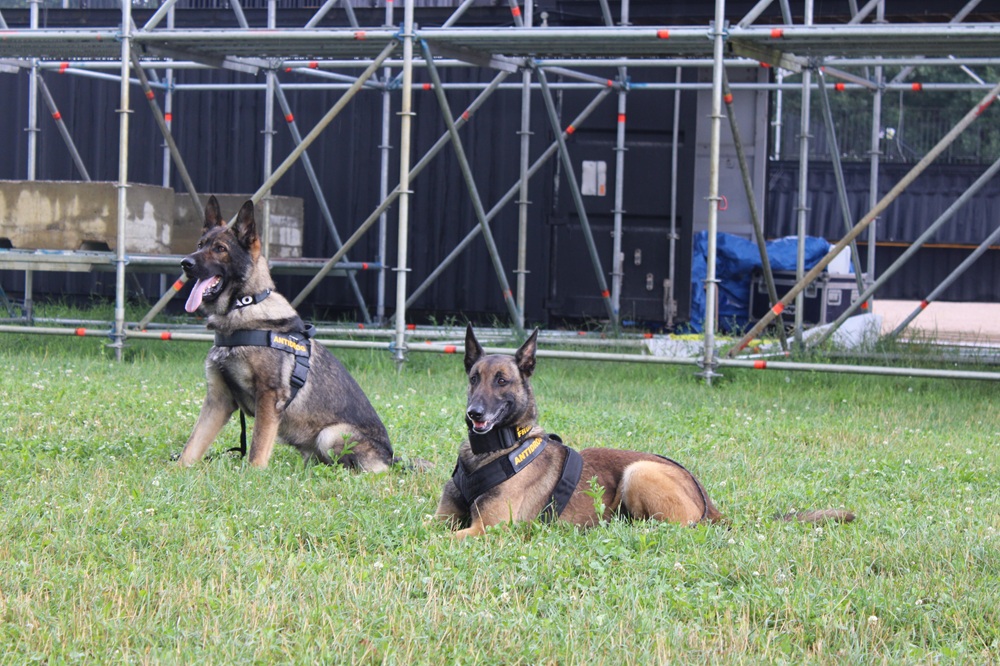 GAO și Sky fac echipă în acest an la Electric Castle pentru depistarea drogurilor |Foto: Ana GREAVU – monitorulcj.ro