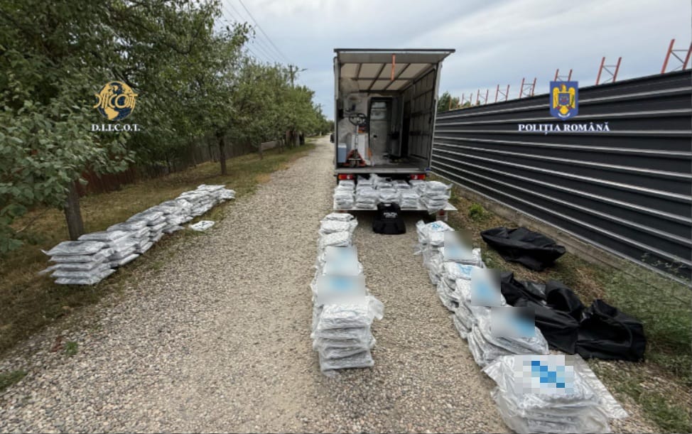 80 kilograme de canabis într-un depozit din Cluj-Napoca| Foto: DIICOT