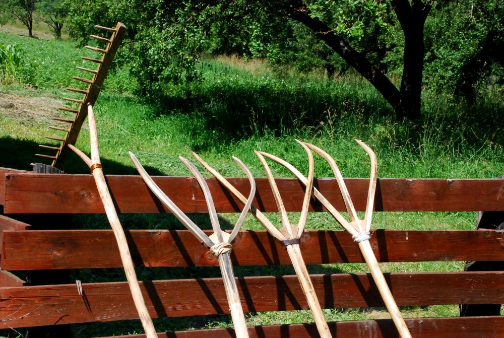 27 iulie, Ziua Sfântului Pantelimon, „Pintilie Călător”, apărătorul sănătății și vestitorul toamnei| Foto: Tradiții clujene - Facebook