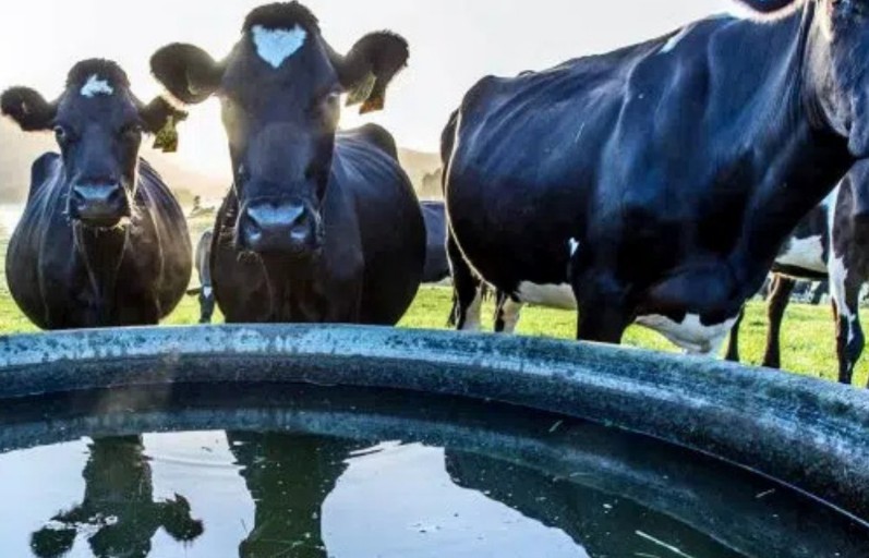 Consiliul Județean Cluj sprijină comuna Buza cu 50.000 de lei pentru puncte de adăpare a animalelor| Foto: Consiliul Județean Cluj - Facebook