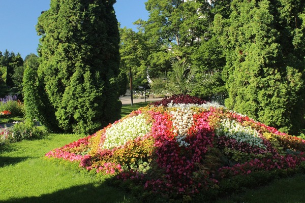 Explozie de culoare la Grădina Botanică din Cluj. |Foto: Grădina Botanica ”Alexandru Borza”- Facebook