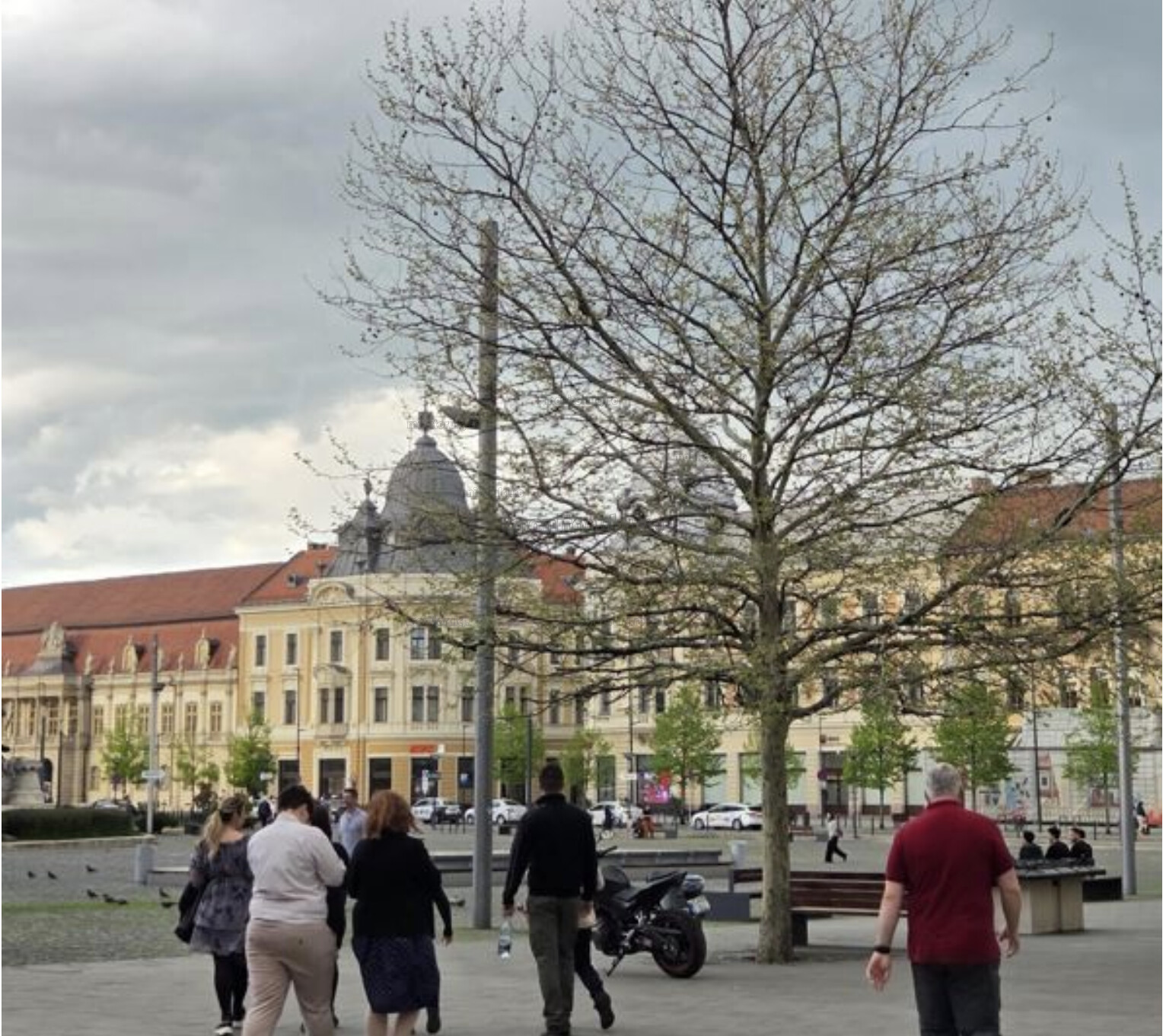 La Cluj-Napoca vor fi averse și descărcări electrice, luni 4 august 2025 | Foto: monitorulcj.ro