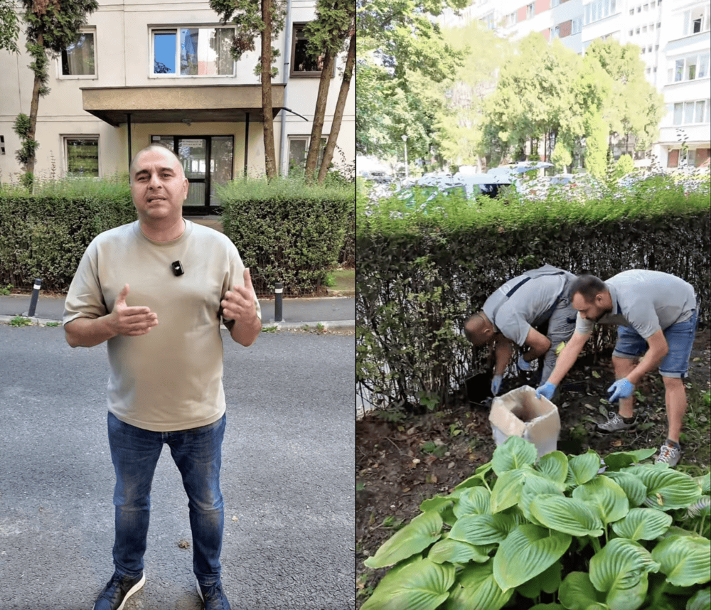 Problema șoboloanilor, ținută sub control la Cluj-Napoca | Foto: Facebook, Dan Ștefan Tarcea