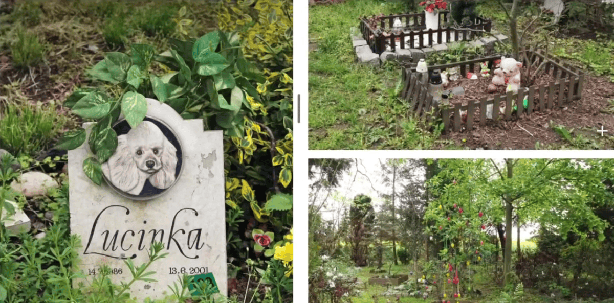 În Cluj-Napoca va fi construit un cimitir pentru animale | Foto: captură video Facebook, Emil Boc