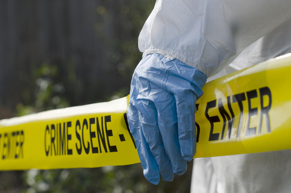 Femeie de 32, ucisă cu bestialitate în Muntele Rece. Suspectul, căutat de Poliție. | Foto: depositphotos.com