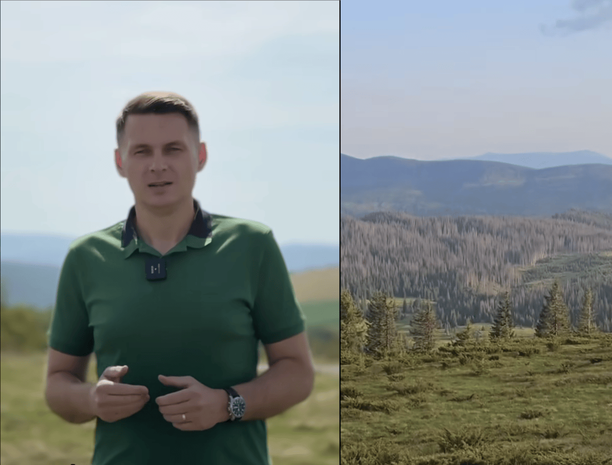 Mircea Aburdean afirmă că un vid legislativ afectează pădurile din România | Foto: Captură video Facebook - Abrudean Mircea