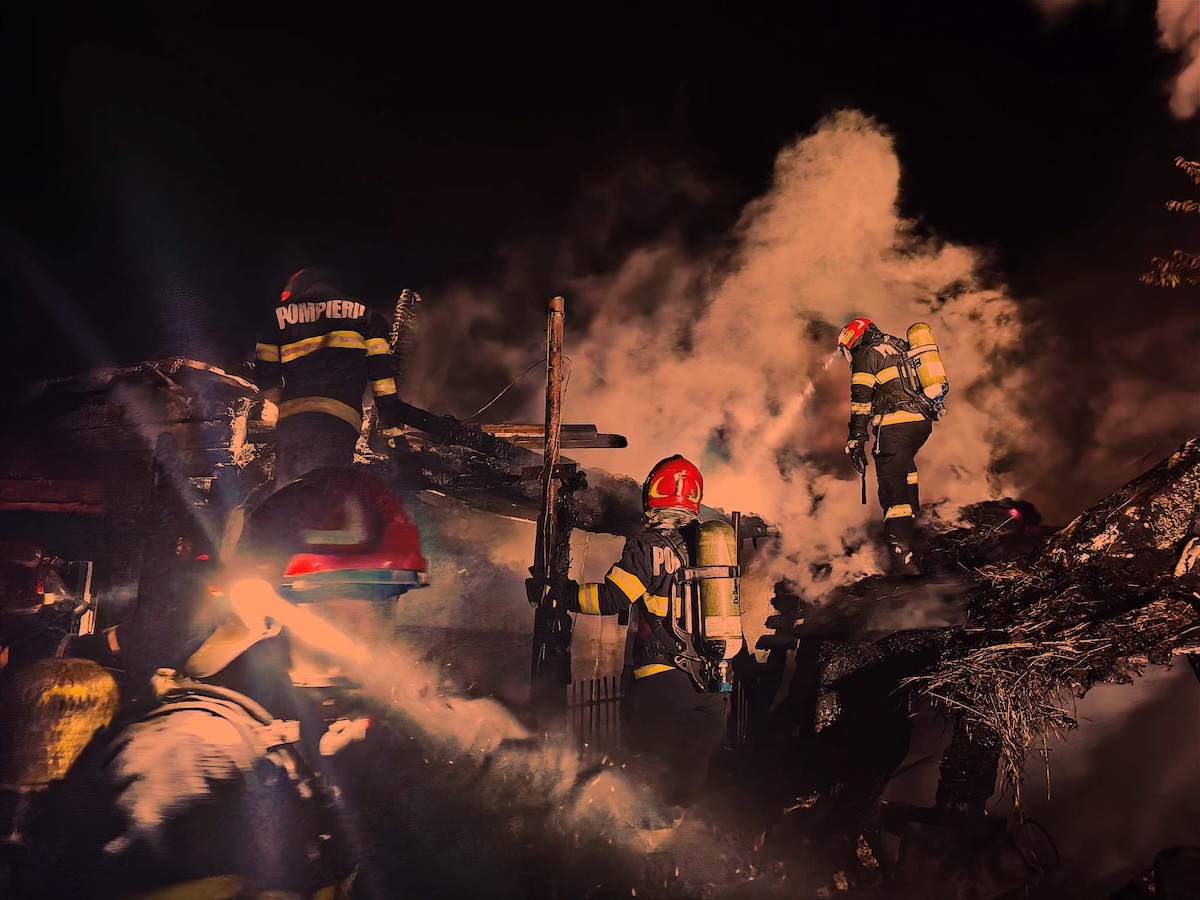 Un porc a murit și o femeie a ajuns la spital în urma unui incendiu în Apahida | Foto: ISU Cluj