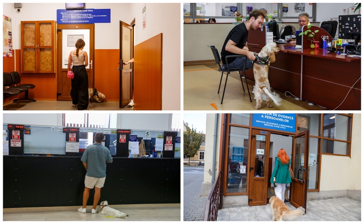 Primăria Cluj-Napoca și-a deschis ușile pentru animalele de companie | Foto: Facebook, Primăria Cluj-Napoca
