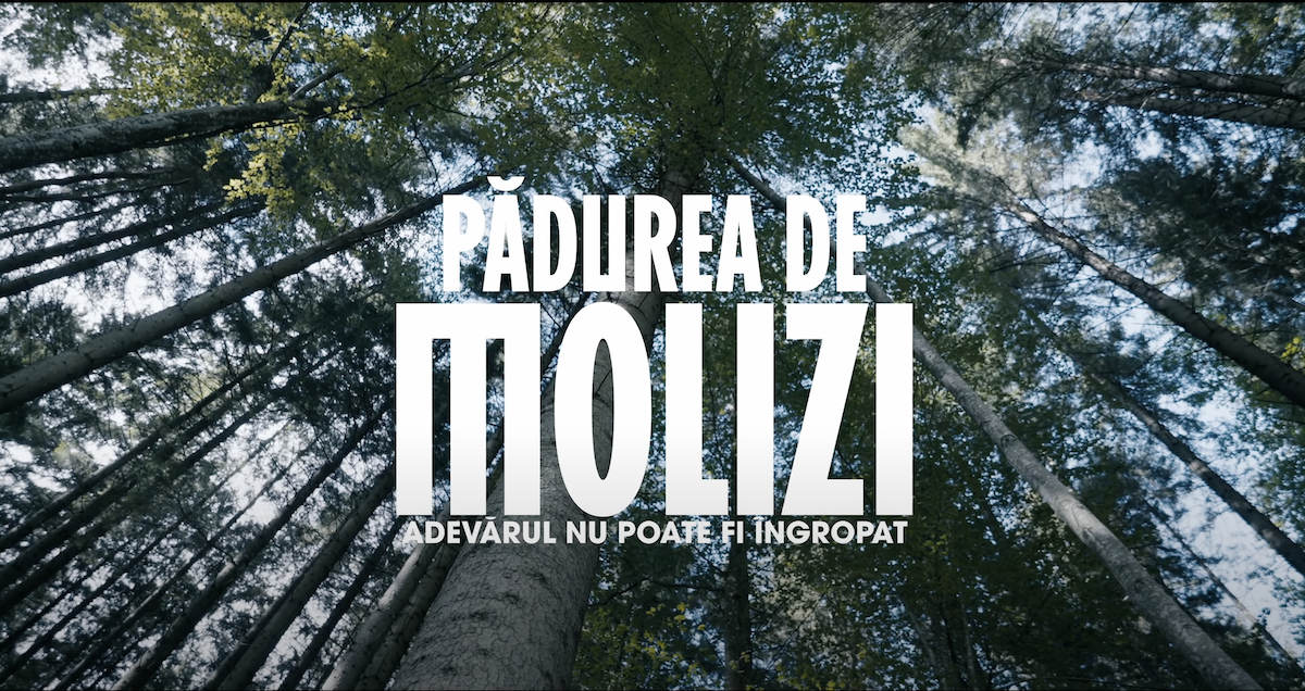 Filmul „Pădurea de molizi”, regizat de Tudor Giurgiu, este acum disponibil în cinematografe | Foto: Captură video YouTube, TransilvaniaFilmRO