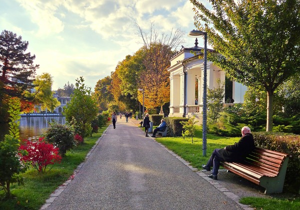 Toamna colorează Cluj-Napoca.  Imagini superbe care transformă orașul într-un tablou viu | Foto: Eliza Lucaciu- monitorulcj.ro