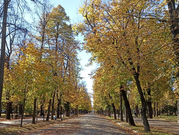 Prognoza meteo pentru marți, 28 octombrie|Foto: monitorulcj.ro