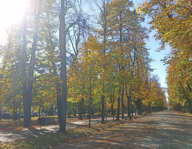 Prognoza meteo pentru vineri, 31 octombrie|Foto: monitorulcj.ro