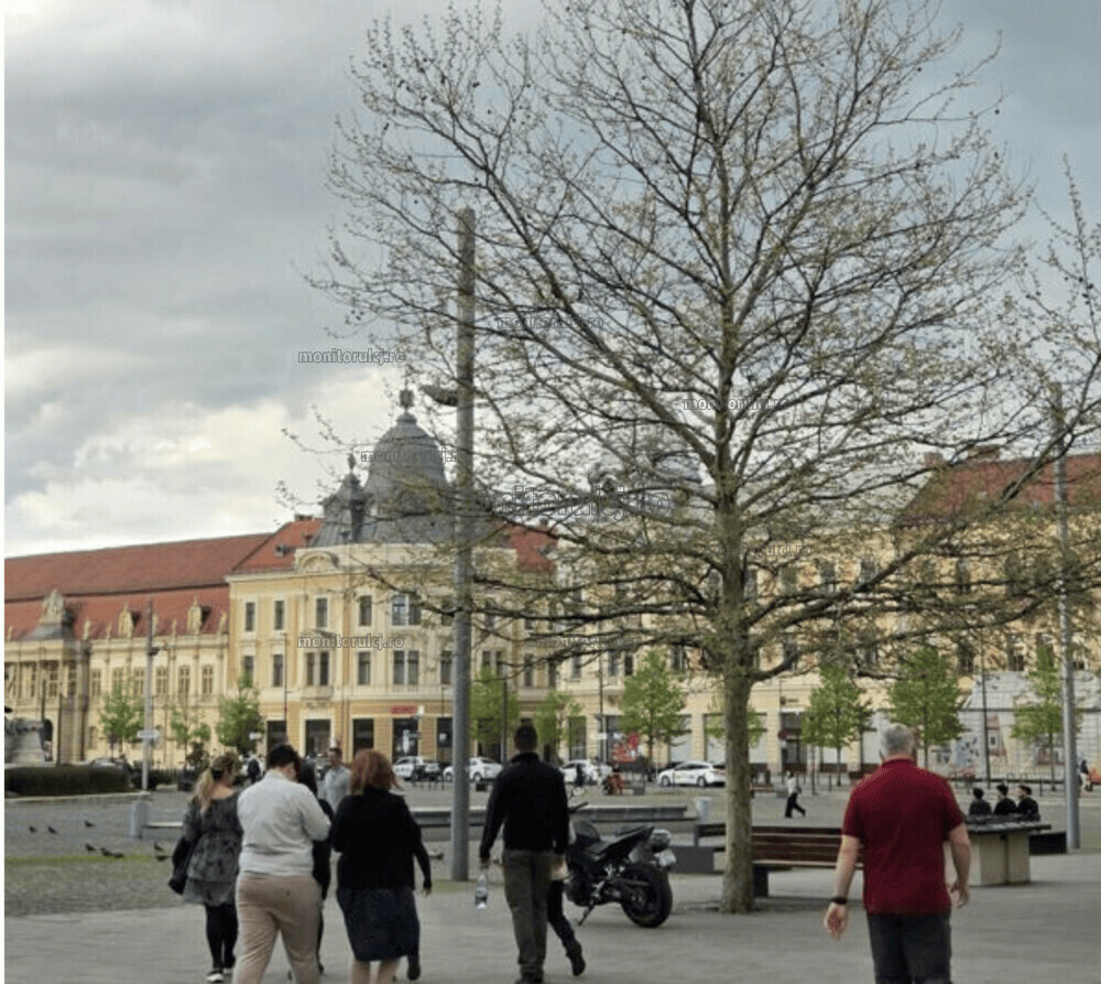 Va fi cald la Cluj-Napoca în prima zi de noiembrie | Foto: monitorulcj.ro