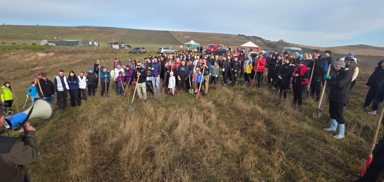 Misiune verde îndeplinită în Apahida: 4.000 de arbori plantați, printr-un efort comun dedicat protecției mediului|Foto: Primăria comunei Apahida - Facebook