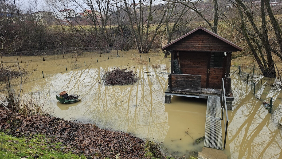 Castorul problemă a revenit în Mănăștur | Foto: monitorulcj.ro