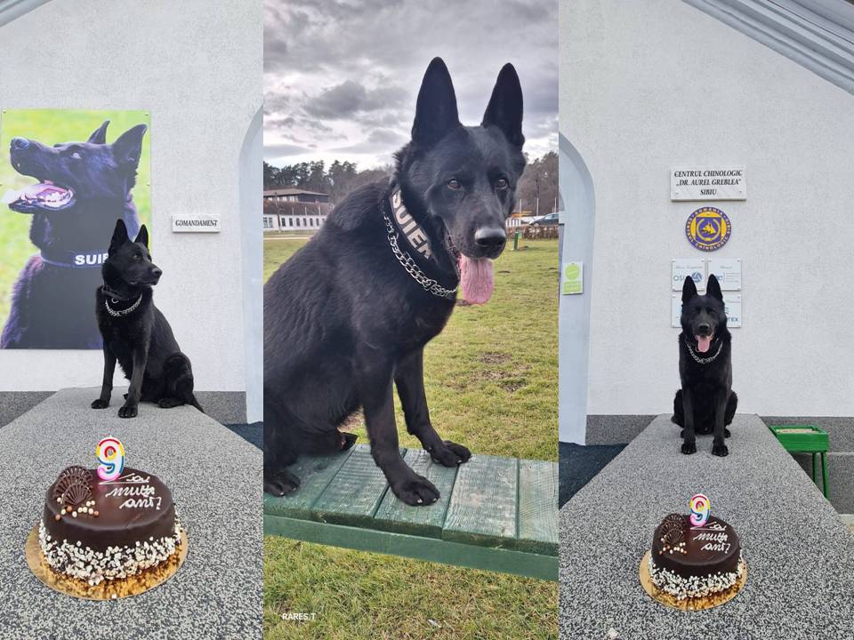 Foto: Centrul Chinologic Sibiu