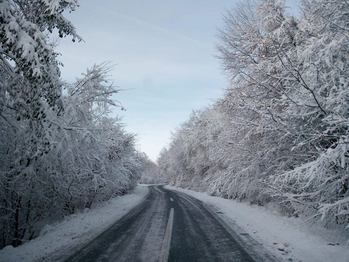 Două școli din județul Cluj au trecut la activitate în regim online | Foto: Facebook, Instituția Prefectului - Județul Cluj / Fotografie ilustrativă