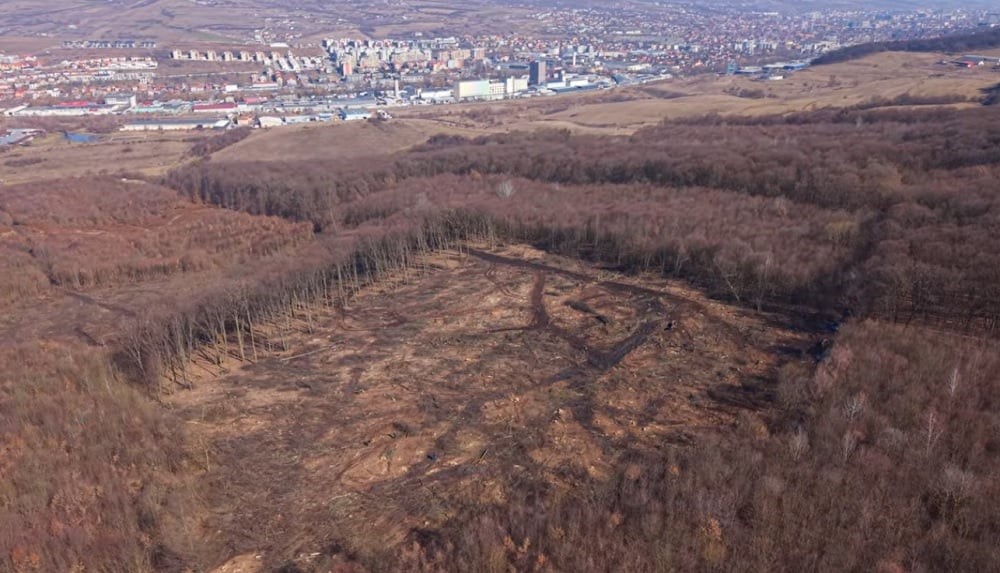 Pădurea Hoia, la un pas de dezastru: 2 hectare de pădure au fost rase|Foto: YouTube Legat De Cluj