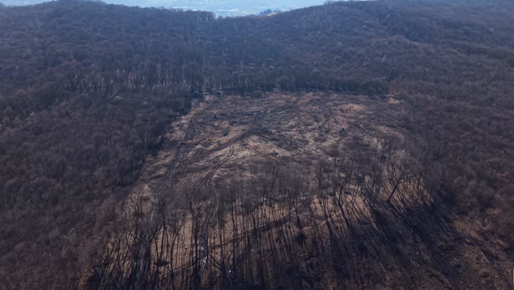 Verificări în teren în cazul defrișărilor masive din Pădurea Hoia. Directorul Gărzii Forestiere Cluj: „Arborii se înlocuiesc și se vine cu specii mai valoroase în urma împăduririi”. |Foto: YouTube Legat De Cluj