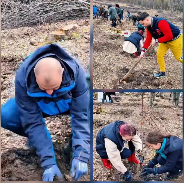 Amplă acțiune de reîmpădurire, la Cluj, în zona Cheile Baciului: într-o singură zi au fost plantați peste 20.000 de puieți|Foto: Dan Tarcea - Facebook