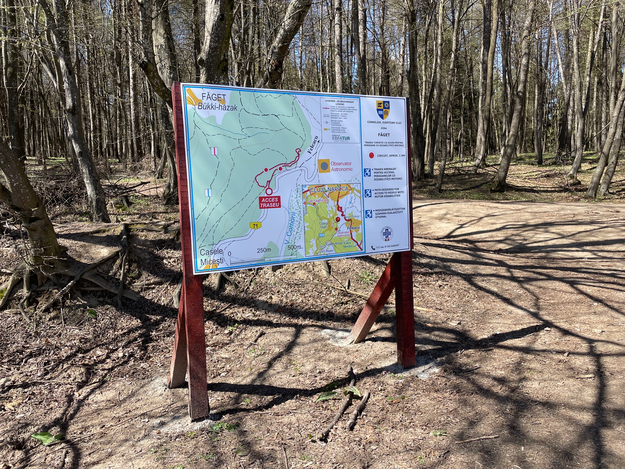 Persoanele cu deficiențe motorii vor putea efectua un traseu în Pădurea Făget | Foto: Consiliul Județean Cluj