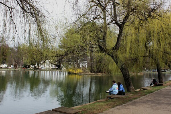 Cerul va fi temporar noros la Cluj în vinerea mare | Foto: monitorulcj.ro