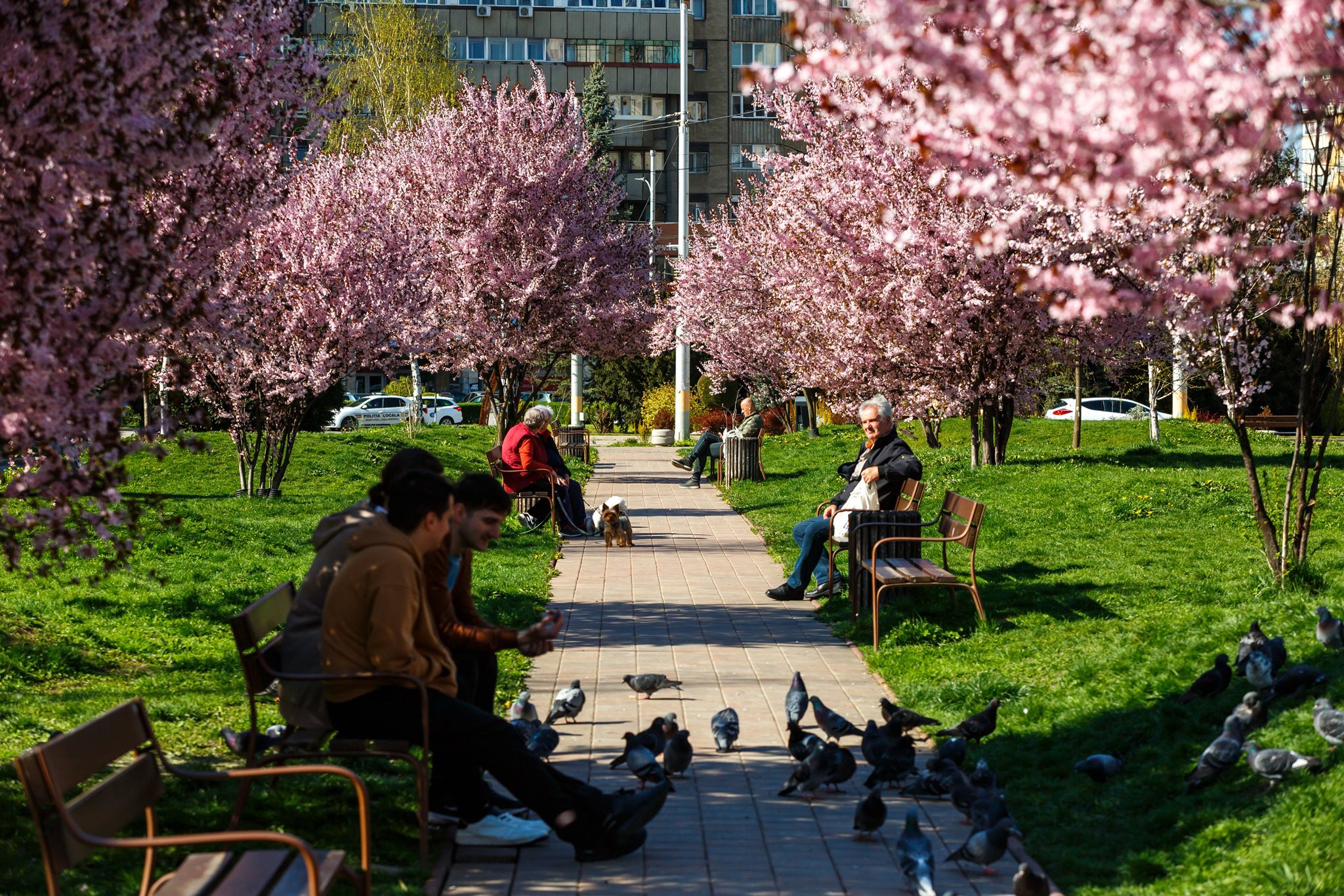Vreme bună la Cluj-Napoca în weekend | Foto: Facebook, Primăria Cluj-Napoca