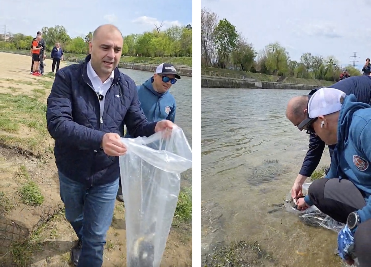 Someșul Mic din Cluj-Napoca, repopulat cu pești | Foto: Facebook, Dan Tarcea