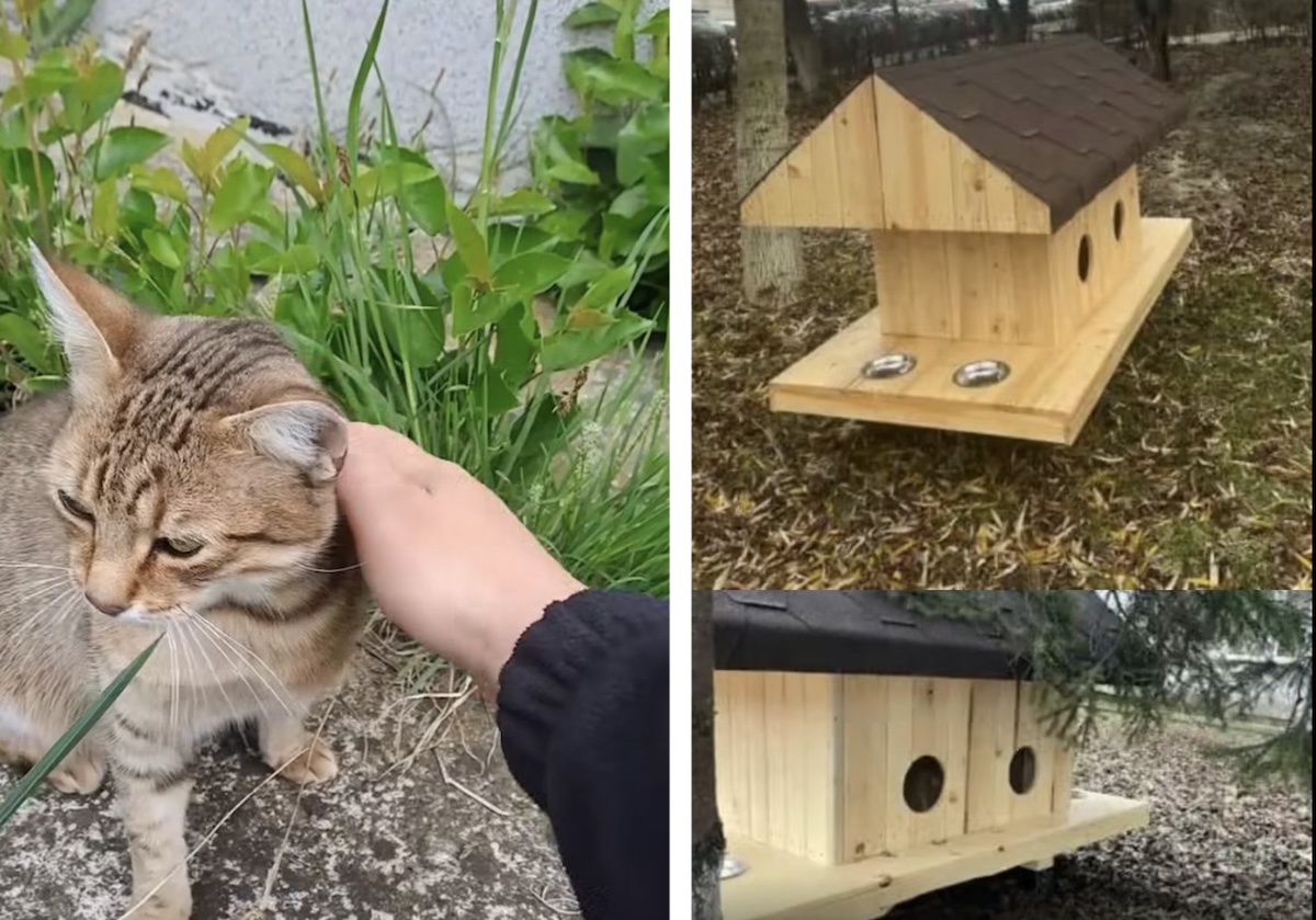 Căsuțe pentru pisicile fără stăpân în Cluj-Napoca | Foto: Captură de ecran Facebook, Emil Boc