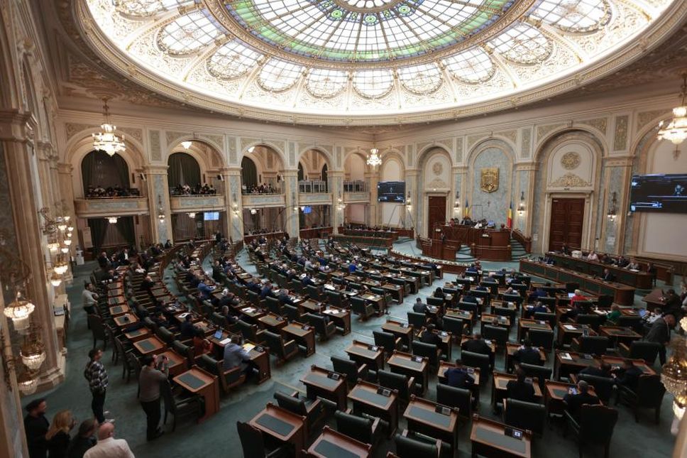 Senatul României a adoptat o lege care va obliga ONG-urile să publice numele celor care donează | Foto: Inquam Photos / George Călin