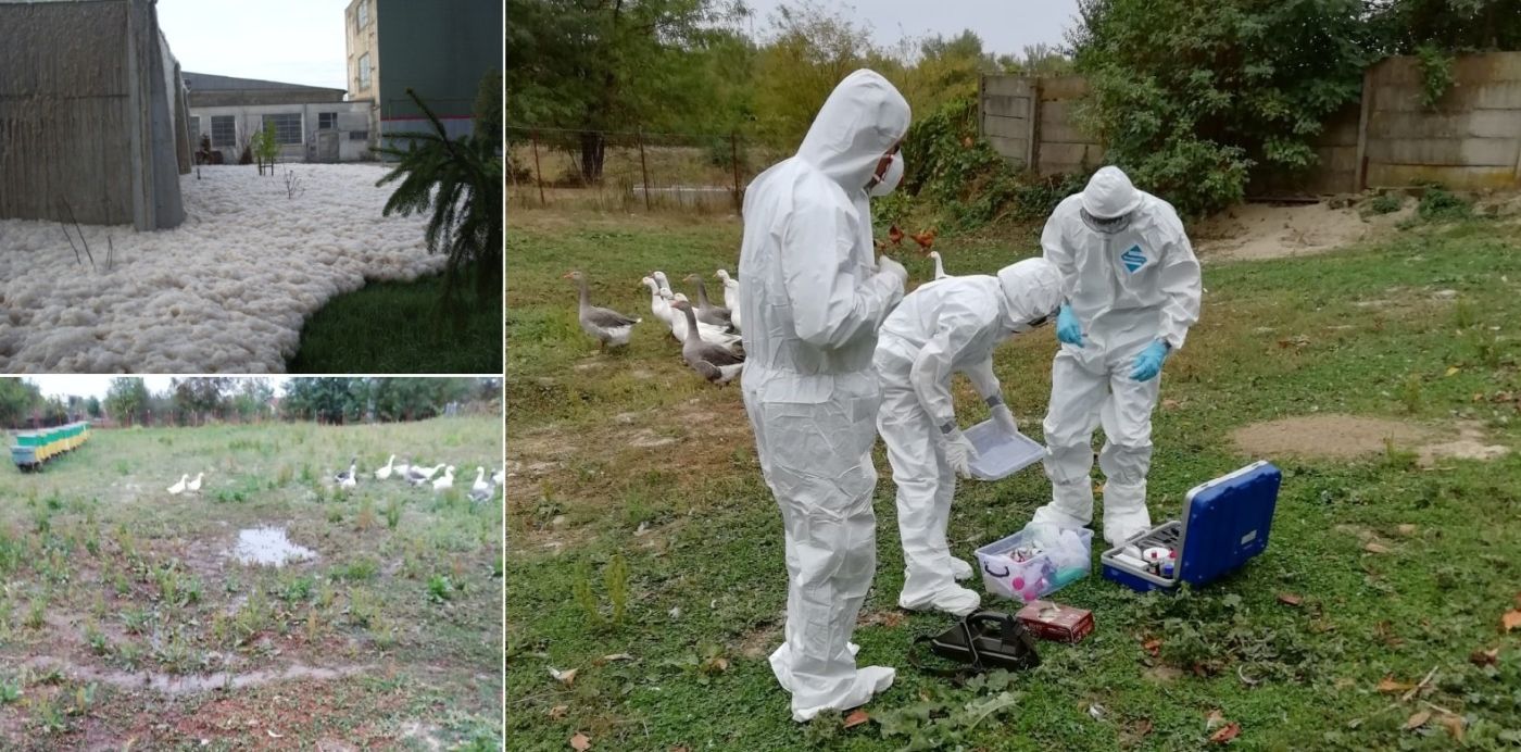 Abatorul companiei Agricola Internațional Bacău a rămas fără autorizația integrată de mediu, în urma unei decizii definitive pronunțate de instanță, după aproape șapte ani de procese. Foto: Lucian Tarcău / Sursa: România Curată