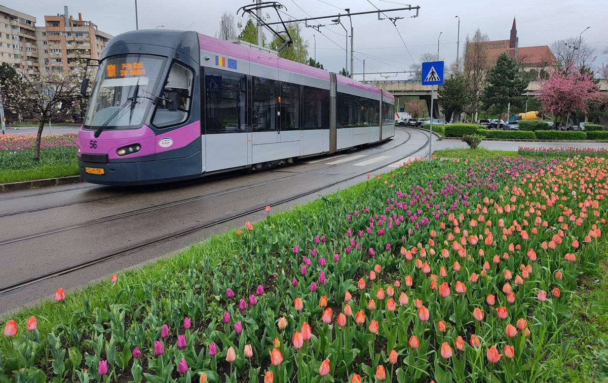Călătorii care folosesc liniile 27, 30, 26, 26L, 28, 28B, 41 și 44 trebuie să se pregătească pentru modificări de traseu începând de săptămâna viitoare. | Foto: Facebook CTP