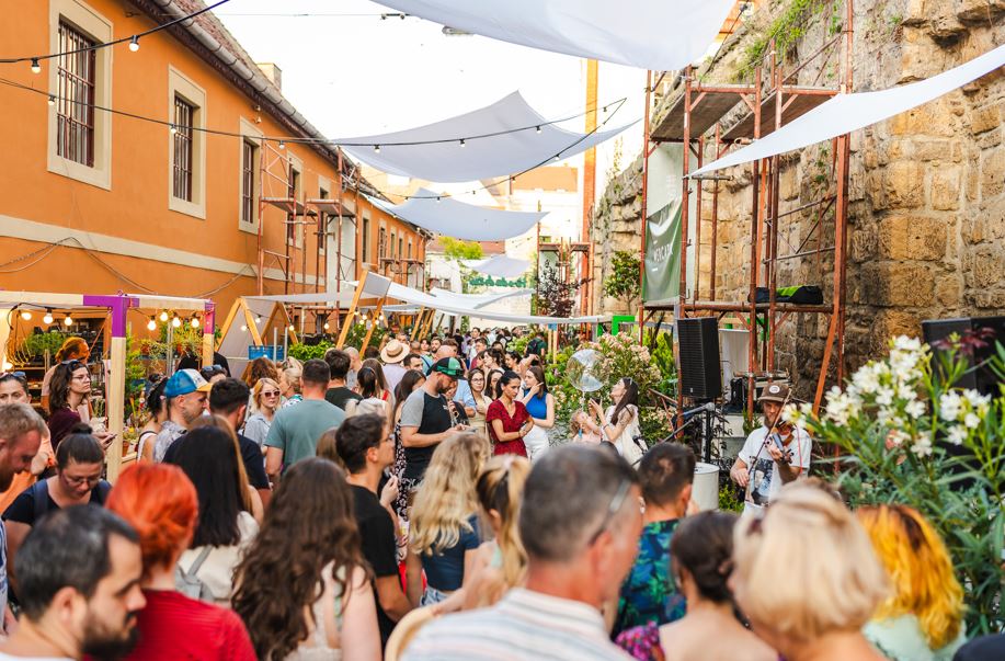 În perioada 19-22 iunie, Strada Potaissa se transformă într-o grădină urbană spectaculoasă. Foto: Asociația Daisler