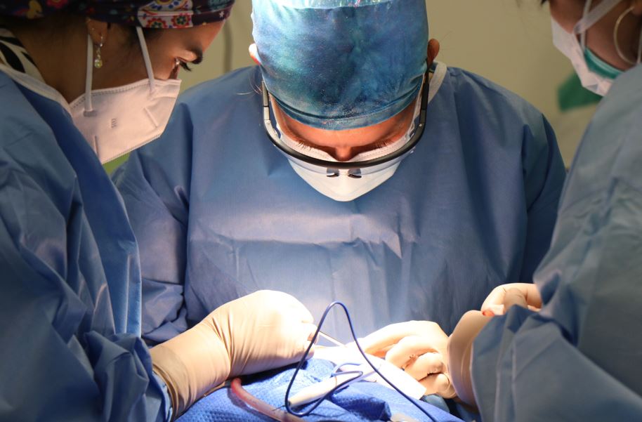 Caz emoționant la Cluj: Un copil de 9 ani a primit un rinichi de la tatăl său|Foto: pexels.com