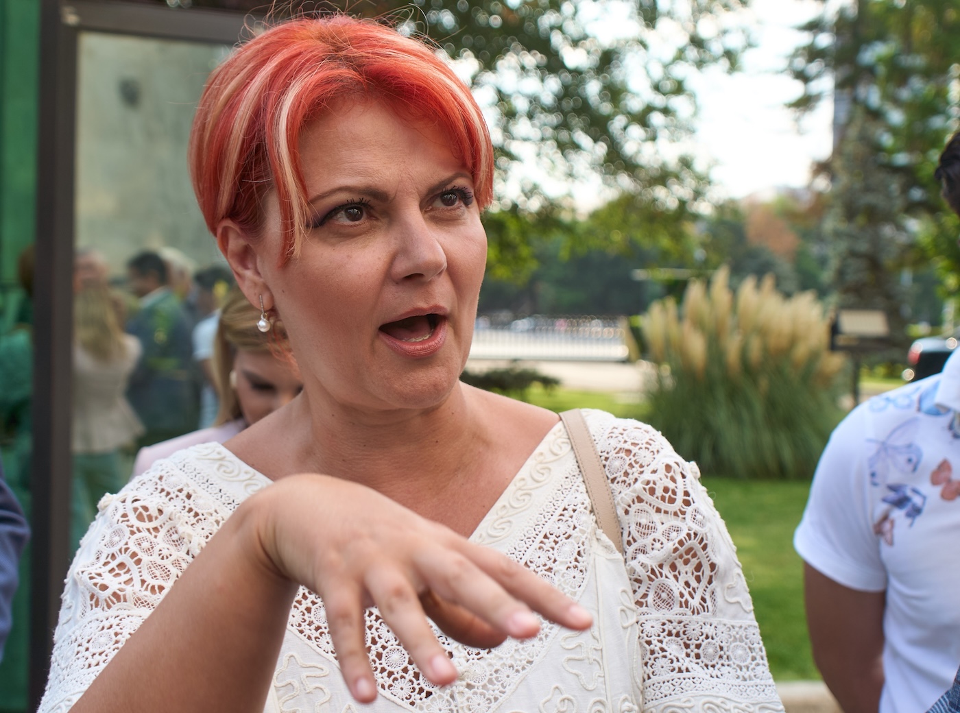 Lia Olguța Vasilescu: „Guvernul Grindeanu ar trece fără probleme cu voturile de la UDMR”. Fotografie realizată în 18 august 2025, în București. | Foto: DepositPhotos.com