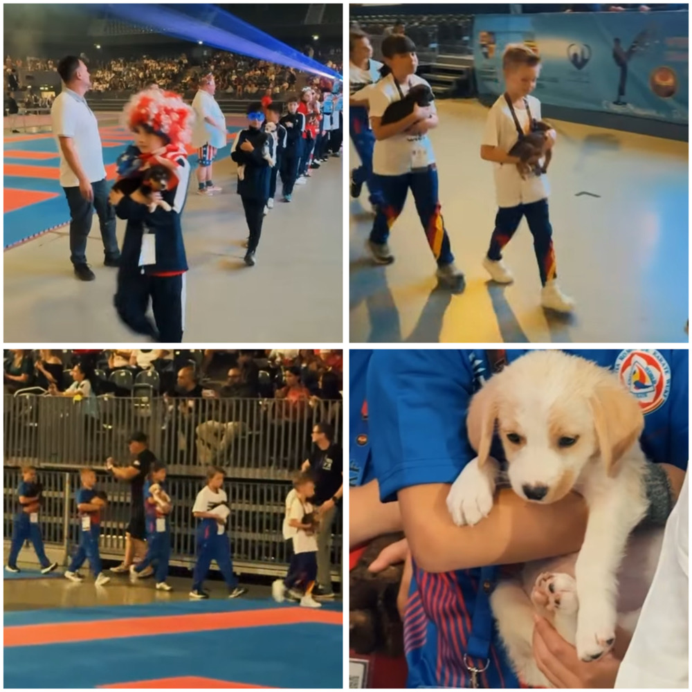Emil Boc: „Clujul iubește animalele!”. Cățelușii de la Centrul de Îngrijire au ajuns la Campionatul Mondial de Karate.
