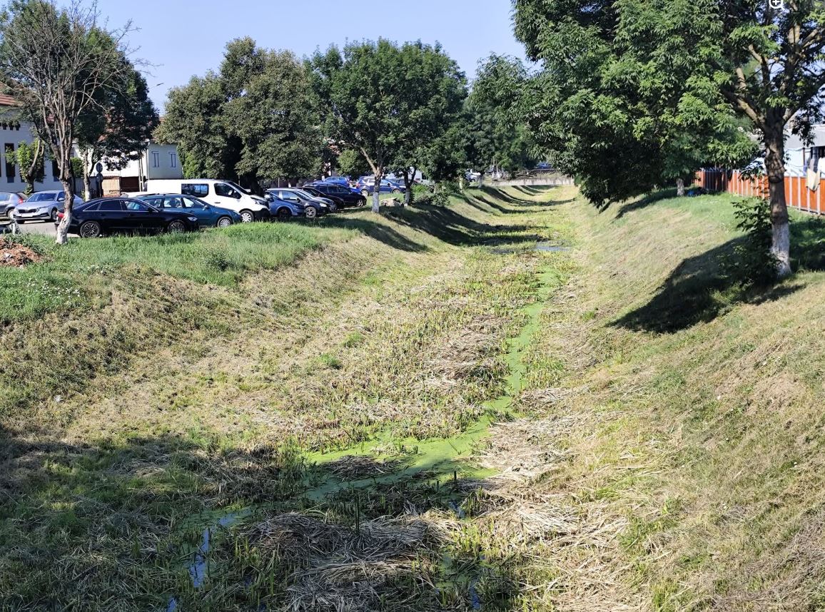În plin val de caniculă, Pârâul Lechința din Bistrița-Năsăud a secat complet