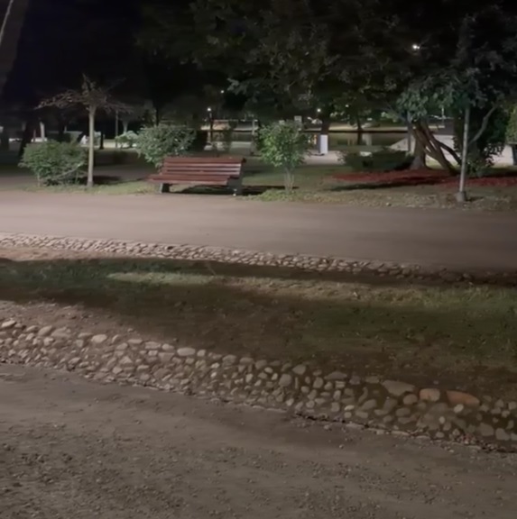 Parcul Central, redat clujenilor în mai puțin de 40 de ore după Untold | Foto: monitorulcj.ro