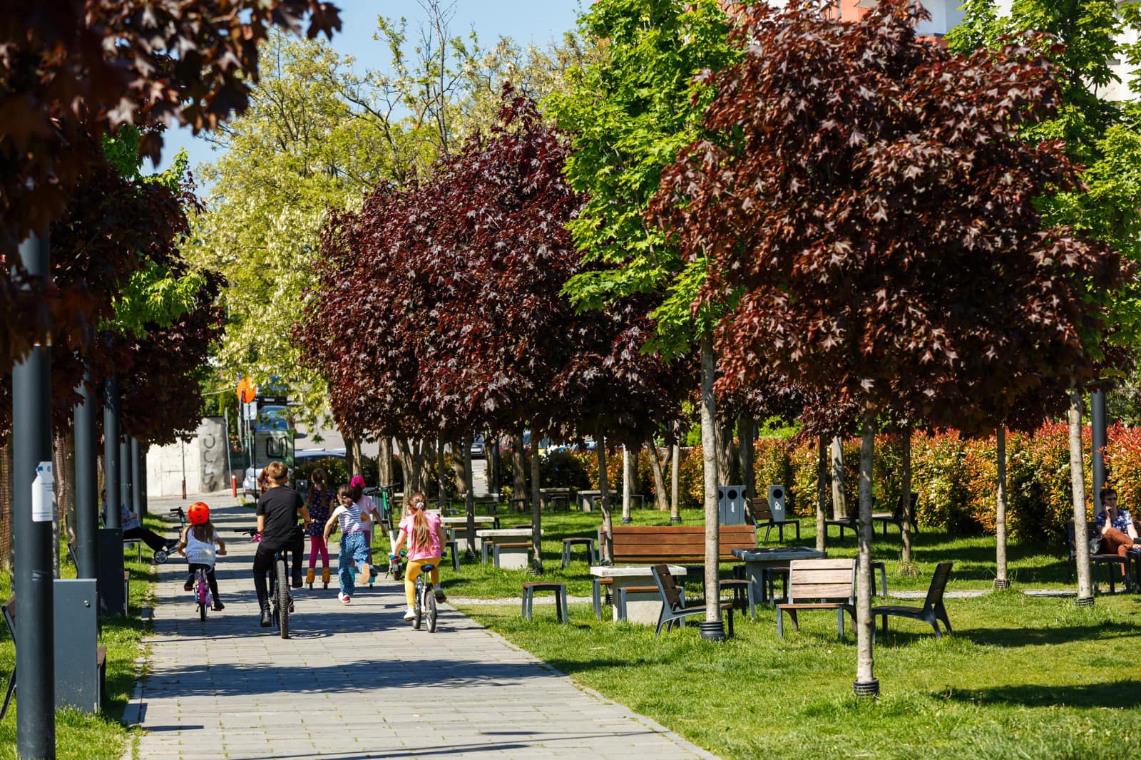 Clujenii se bucură de o zi însorită și călduroasă sâmbătă, 15 august, cu ocazia sărbătorii Adormirii Maicii Domnului.  | Foto: Primăria Cluj-Napoca - Facebook