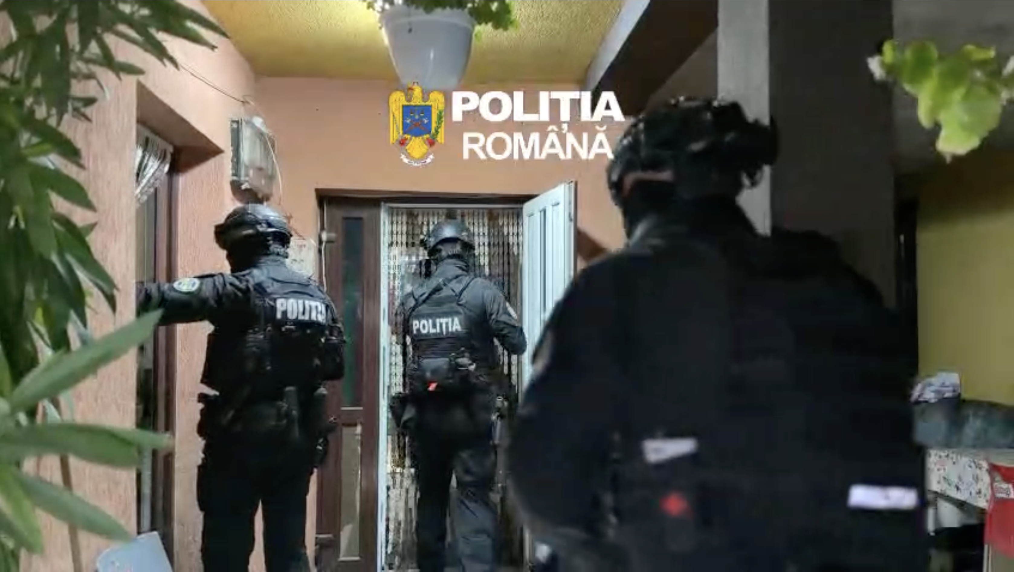 O firmă din Cluj ar fi prejudiciat statul cu aproape 4 mil. lei | Foto: IPJ Cluj