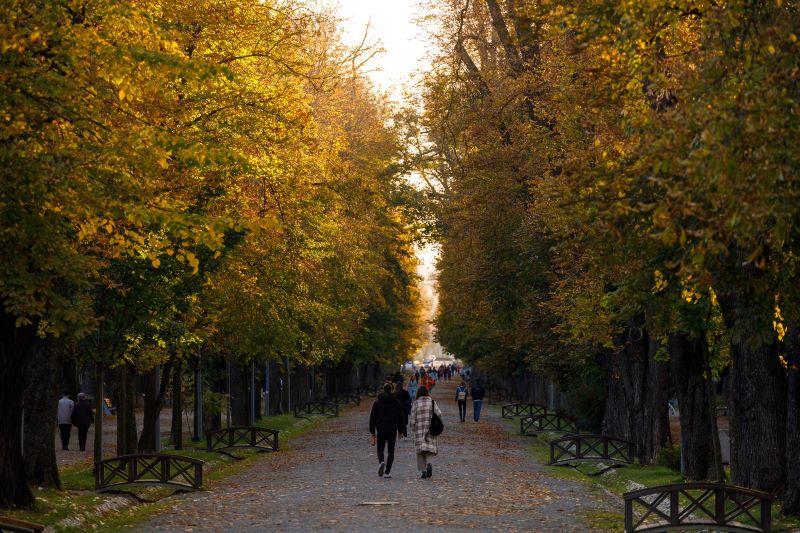 Toamna își face simțită prezența la Cluj-Napoca, temperaturile nu trec de 19 grade!