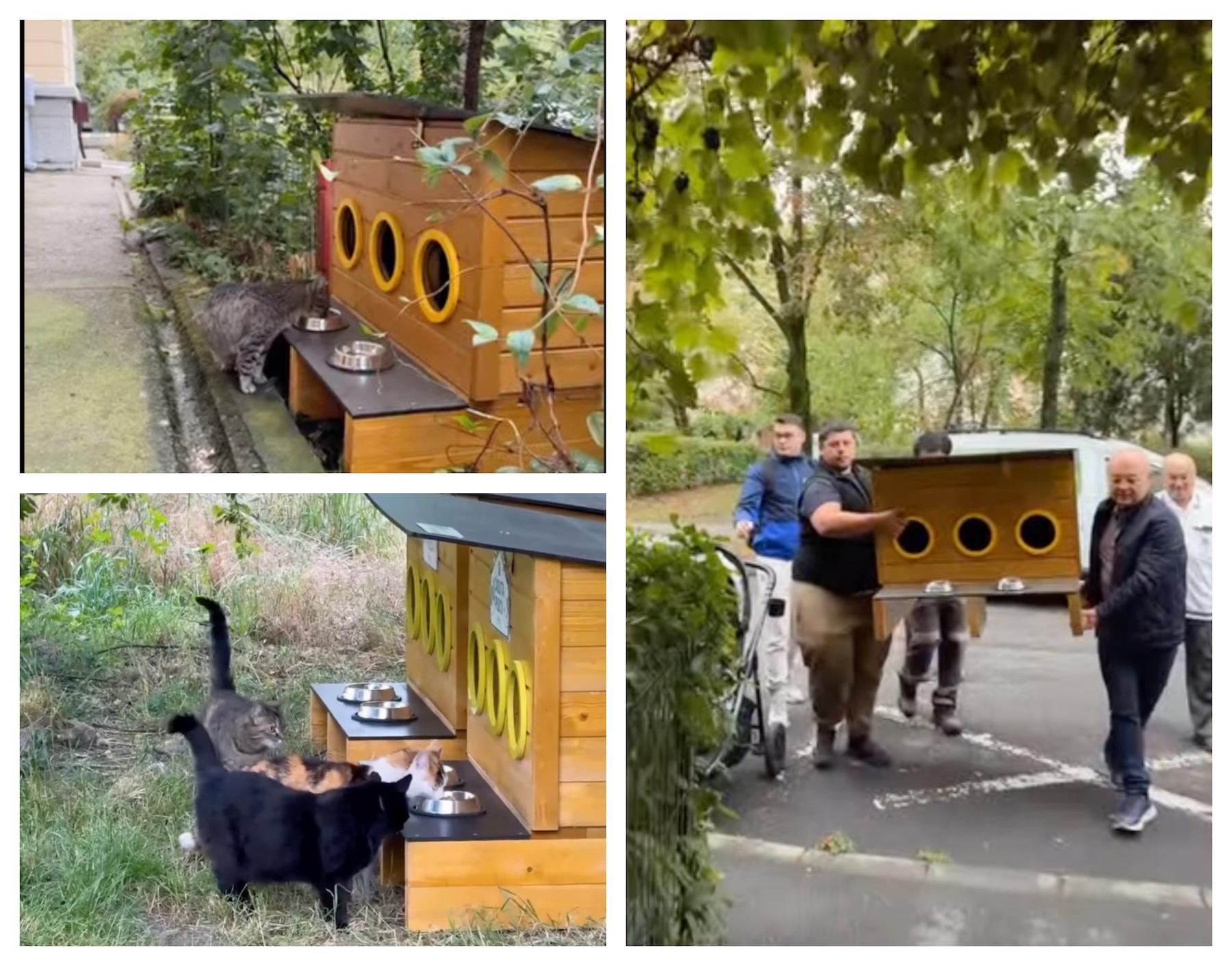 Continuă amplasarea căsuțelor pentru pisici fără stăpân în zona de blocuri din Cluj-Napoca. Emil Boc: „Putem avea grijă de animale într-un mod organizat”