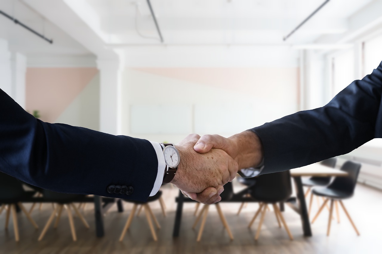 Funcții cumulate de directori și salarii lunare de 100.000 de lei: Platforma de transparență a companiilor de stat, publicată de Guvern|Foto: Pixabay.com
