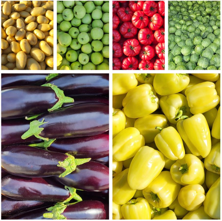 Centrul Agro Transilvania Cluj: Din 1 octombrie, locurile de piață pot fi închiriate online|Foto: Centrul Agro Transilvania Cluj SA - Facebook