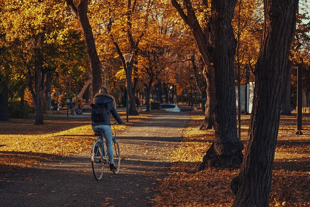 Ai bicicleta în scara blocului? Gestul banal care te poate costa până la 5.000 de lei / Foto: Pixabay.com