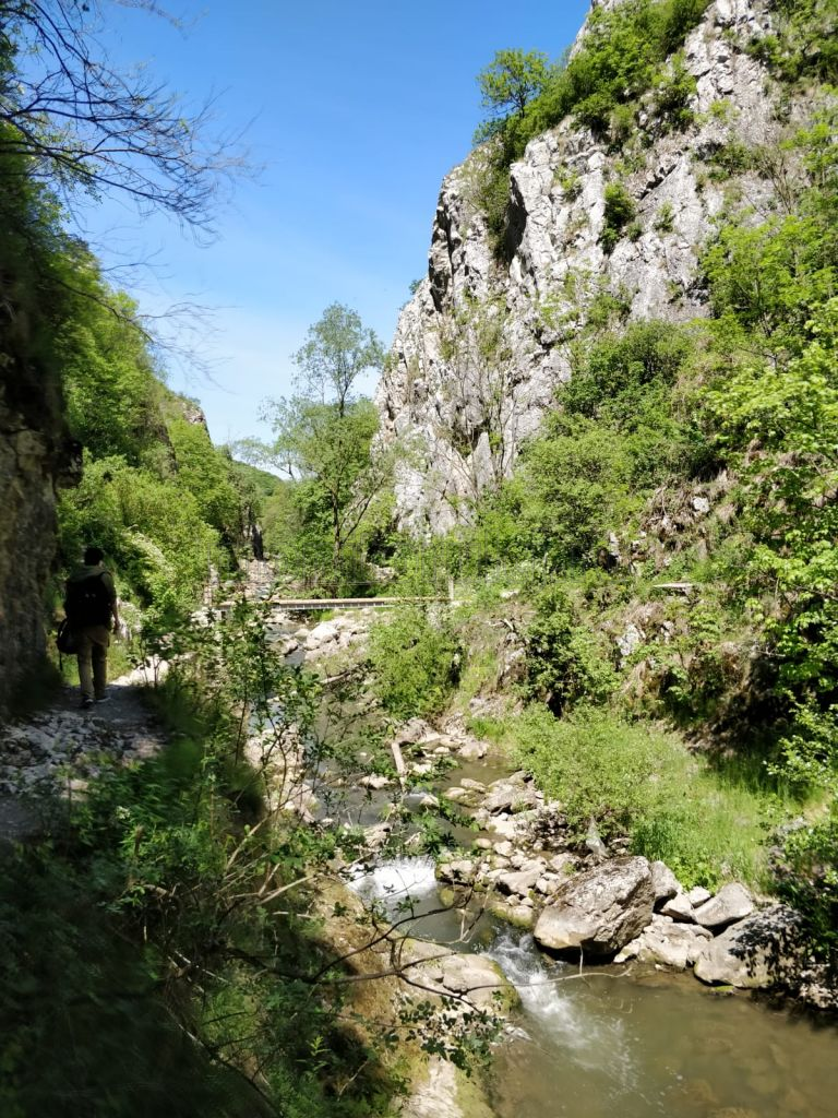 Cheile Turzii Un Traseu Pe Cinste Pentru Iubitorii De Natur L Ng Cluj
