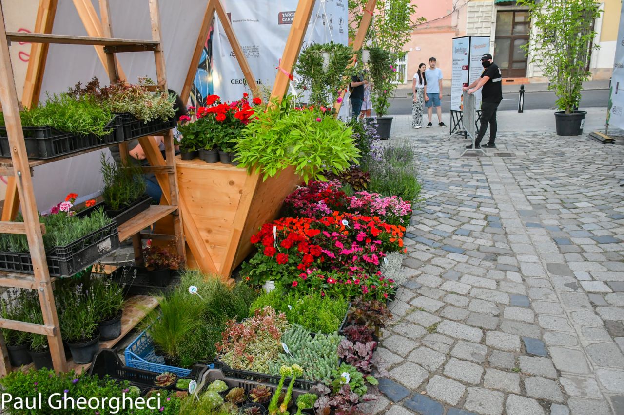 Piața de flori altfel, pe strada Potaissa. Un colț de rai decorat de